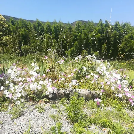 Apartamento De Trabuc, Cévennes *